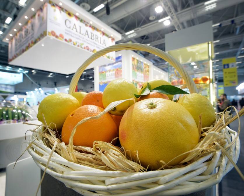 fruit frescos supply chain