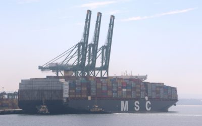 MSC Eloane escala no Porto de Sines