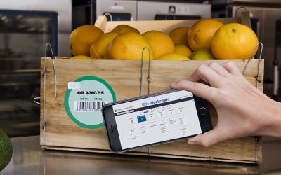 As vantagens da blockchain nas áreas alimentares