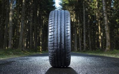 Michelin vai produzir pneus feitos de madeira