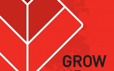 Galius com novo programa de fidelização Grow Up