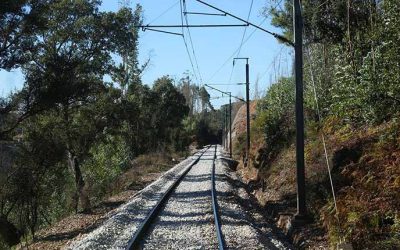 Transporte de mercadorias por via ferroviária cresce em Portugal