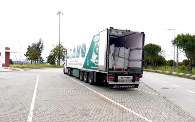 OLANO transporta mais de 2.500 toneladas de cenoura do Ribatejo para França