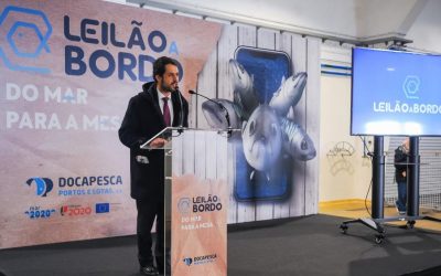 Docapesca lança app de venda de pescado ainda em alto-mar