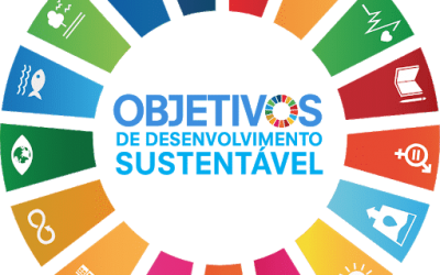 5 alavancas para as empresas começarem a preparar a Agenda 2030