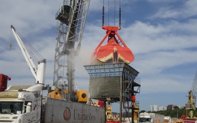 Tersado inicia receção regular de cereais no Porto de Setúbal