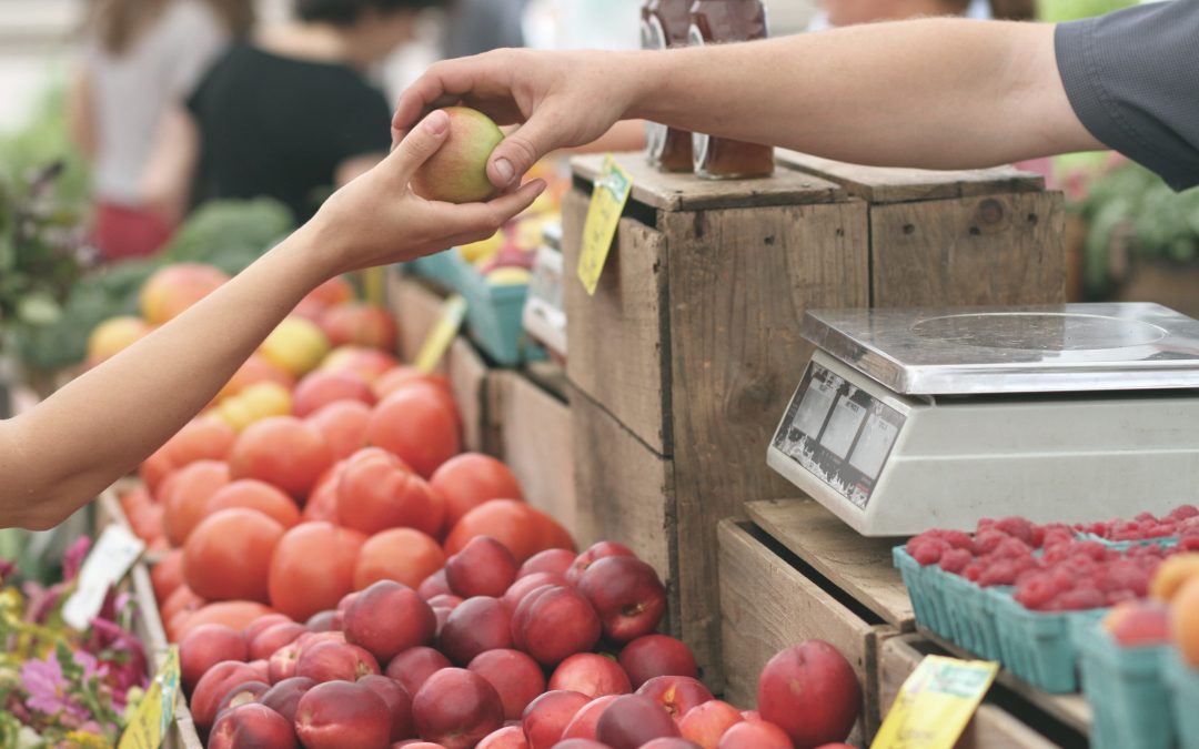 Redução IVA alimentos