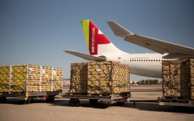 TAP Cargo otimiza capacidade interligando Cargospot e Skypallet